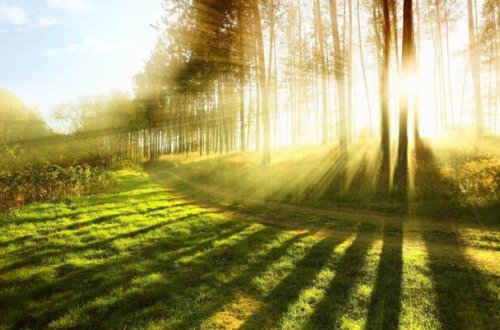 Sabah 28 dərəcə isti olacaq