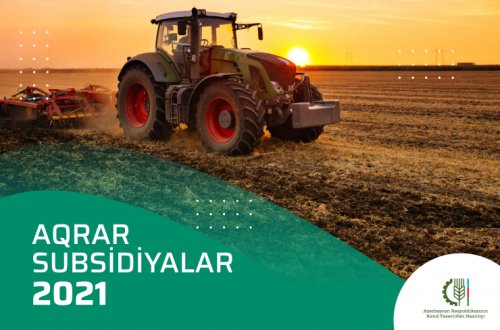Yazlıq və çoxillik əkinlərə görə subsidiya almaq üçün müraciətlərin müddəti mayın 31-də başa çatır