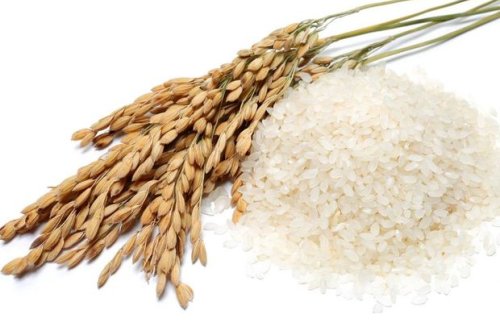 Fermerlər əkin sahələrini niyə sığortalamır? – VİDEO