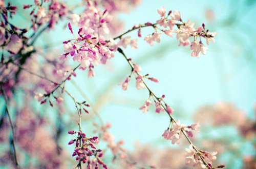 Прогноз погоды в Азербайджане на 19 мая