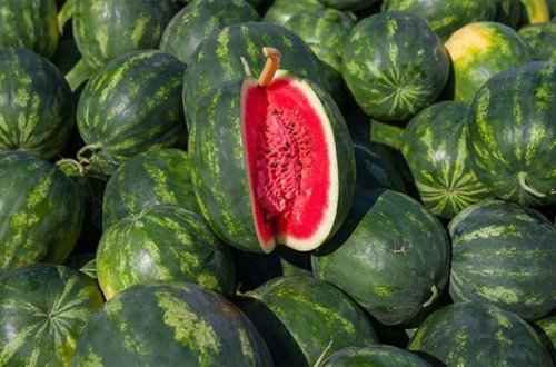 Bazarda qarpız təhlükəsi: Zəhərlənmədən xəstəxanalıq ola bilərsiniz - VİDEO