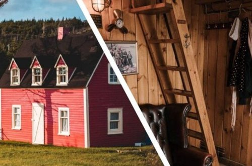 Evin çardağından çıxanlar dəhşətə gətirdi: Düz 30 ədəd... - FOTO