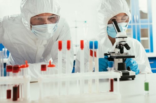 Rusiyada yeni təhlükəli bakteriya aşkarlanıb