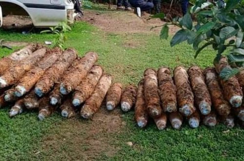 Мужчина нашел в своем дворе 101 неразорвавшуюся бомбу времен Второй мировой войны