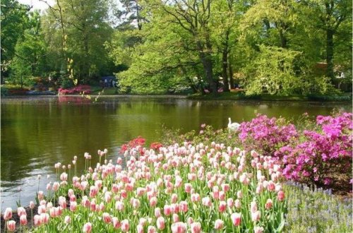 Sabahın hava proqnozu açıqlandı