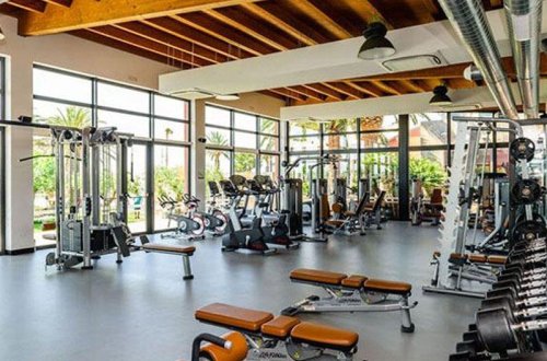 İdman zalları da fəaliyyətə başlayır - OPERATİV QƏRARGAH