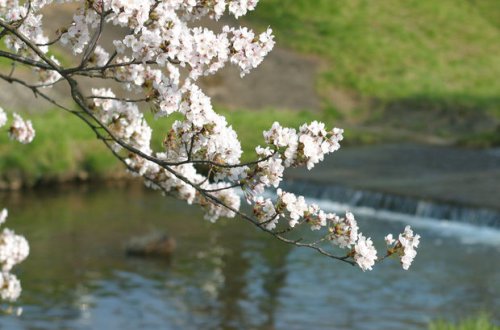 Sabahın hava proqnozu AÇIQLANDI