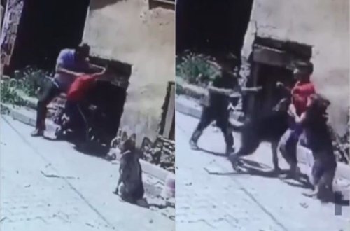 Əlil uşağı dəcəllik etdiyi bəhanəsiylə itlərin qabağına atdı – VİDEO