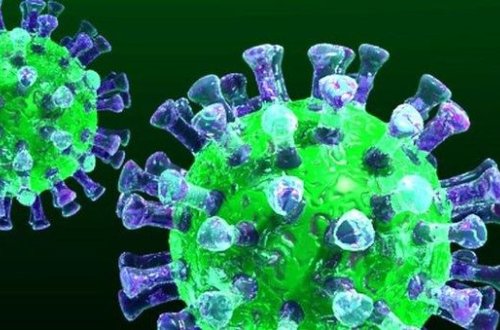 NYT: У американской разведки есть данные о происхождении коронавируса