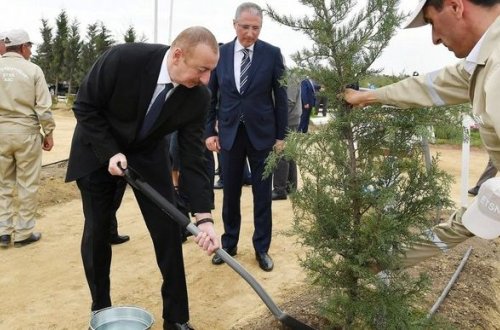 İlham Əliyev Ağdam şəhər meşə-parkında ağac əkilməsi mərasimində iştirak edib