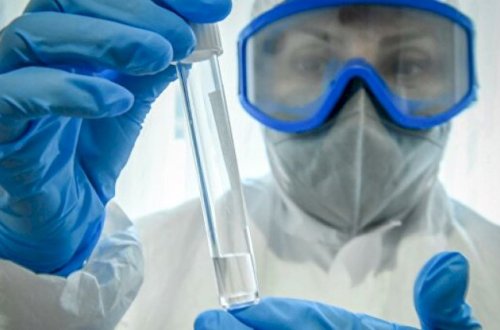 Virusun yeni ştammı aşkarlandı