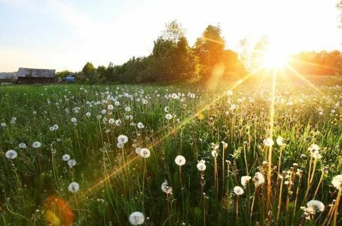 Həftənin ilk günü hava necə olacaq? - PROQNOZ