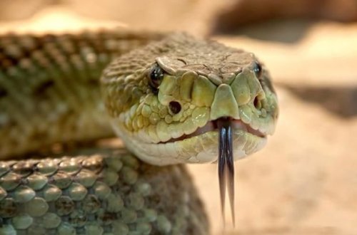 Bakıda işıq sayğacının içindən ilan çıxdı - FOTO