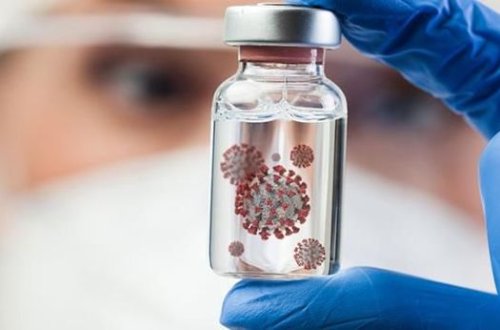 Koronavirusun ştammları yunan əlifbası ilə adlandırılacaq