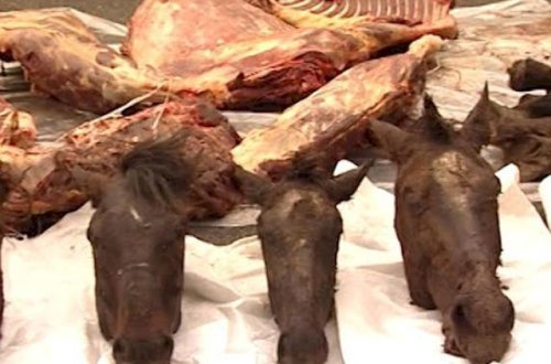 At ətini mal əti adı ilə satmaq istədilər