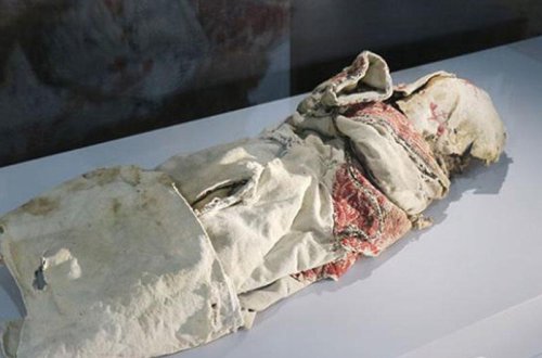 11 uşaq, 2 qadın, 2 pişik: milyonları şoka salan hadisə - FOTO