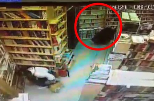 2 kitab oğurladıqlarına görə saxlanıldılar - Video