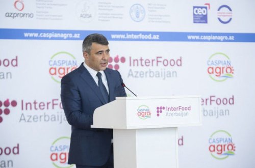 Bakıda 14-cü Azərbaycan Beynəlxalq Kənd Təsərrüfatı sərgisi keçirilir - FOTO