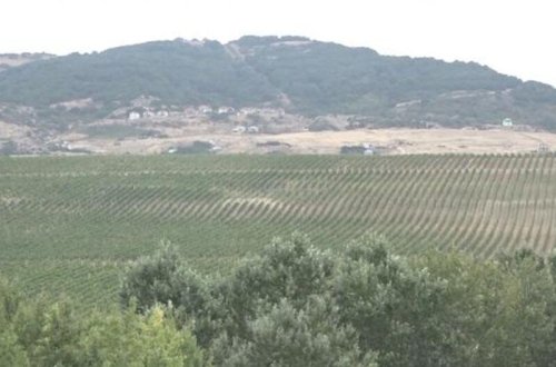 Böyük sənaye Qarabağa qayıdır - VİDEO