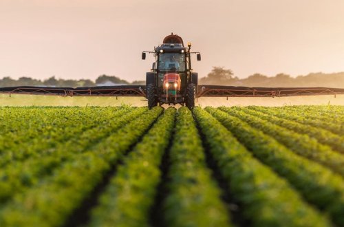 Naxçıvanda kənd təsərrüfatı məhsullarının istehsalı 3%-dək artıb