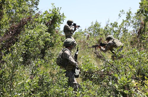 Daha 3 PKK terrorçusu zərərsizləşdirildi