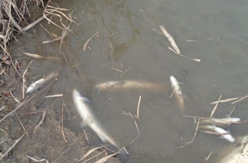 Неживая вода: загрязнение Арменией трансграничных рек - это экологический террор