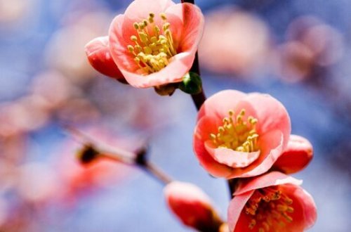 Sabahın hava proqnozu AÇIQLANDI