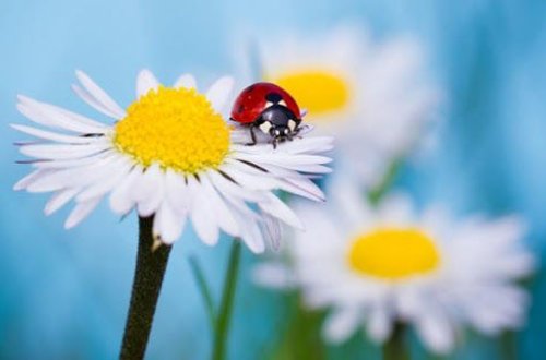 Прогноз погоды в Азербайджане на 19 июня