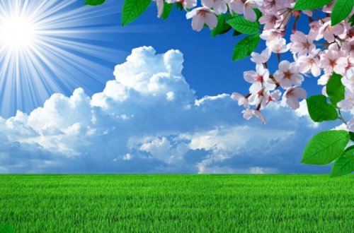 Azərbaycana yay fəsli gəldi