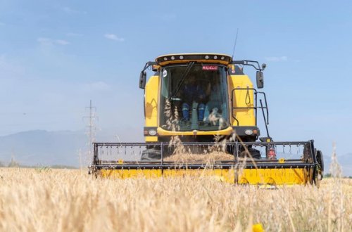 Bugünədək 578250 hektar sahədə biçin aparılıb, sahələrdən 1832176 ton məhsul yığılıb