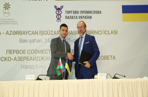 Azərbaycan və Ukrayna arasında İşgüzar Şura yaradılıb