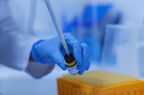 ВОЗ: Вариант коронавируса 