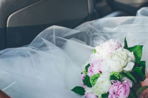 Toylarla bağlı icazə portalı sabahdan aktivləşdiriləcək - RƏSMİ + VİDEO