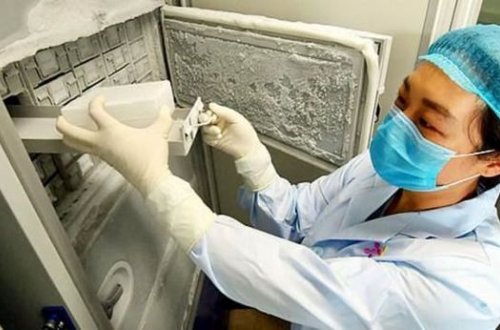 Virusun mənşəyi 20 min il əvvələ gedir: Koronavirusla əlaqədar bütün məlumatlar dəyişə bilər