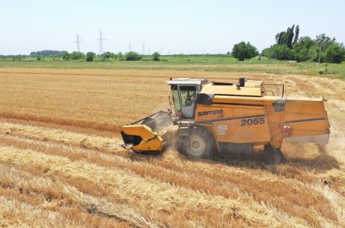 TAXIL SAHƏLƏRİNİN 64 FAİZİNDƏ BİÇİN BAŞA ÇATIB, SAHƏLƏRDƏN 2014551 TON MƏHSUL YIĞILIB