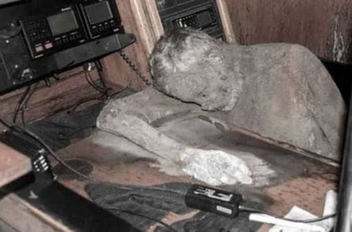 Sahildə içərisində 20 cəsəd olan qayıq tapılıb