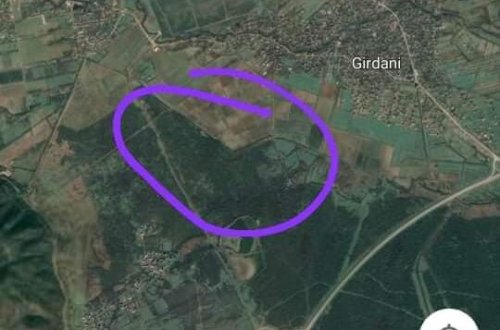 “Beta Azərbaycan” meşə örtüyünü necə məhv edir-LƏNKƏRANDA