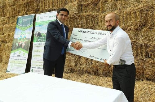 Azərbaycanda dövlət dəstəyi ilə ilk aqrar sığorta ödənişi həyata keçirilib