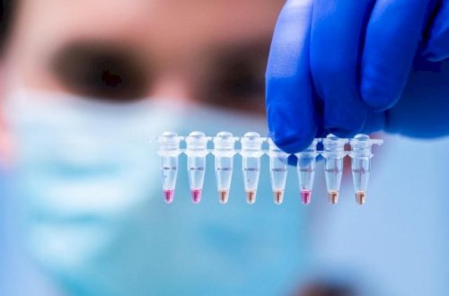 Azərbaycan yeni təhlükə astanasında - Qonşu ölkədə də aşkarlandı