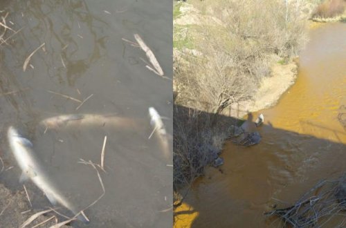 Oxçuçayın çirkləndirilməsi ilə bağlı həyəcan təbili: Beynəlxalq təşkilatlara müraciət edildi - FOTO/VİDEO
