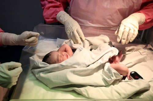 Представителей секс-меньшинств во Франции начнут лечить от бесплодия