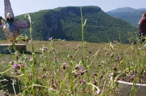 Qarabağa təşkil ediləcək turların detalları AÇIQLANDI - ÖZƏL