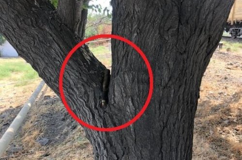 Bakıda mərmi aşkar edildi - FOTO