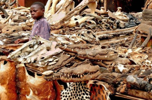 Dünyanın ən qorxunc bazarı: Əsəbi zəif olanların bura girməsi məsləhət deyil - FOTOlar