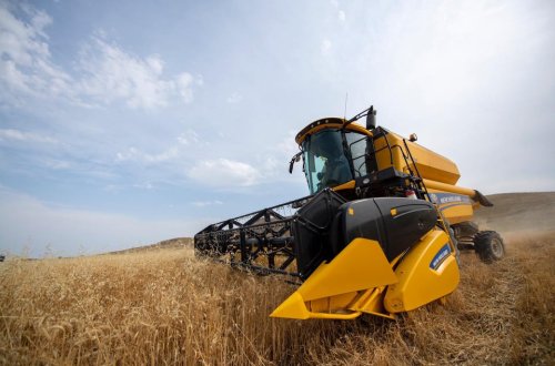 TAXIL SAHƏLƏRİNİN 81,3 FAİZİNDƏ BİÇİN BAŞA ÇATIB, SAHƏLƏRDƏN 2,6 MİLYON TONA YAXIN MƏHSUL YIĞILIB