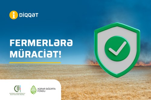 Taxıl sahəsinin yanğından sığortalanması tarifləri açıqlanıb