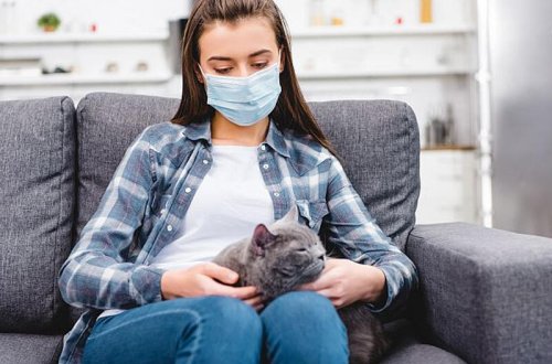 Yoluxanların sayında kəskin artım - Günün statistikası