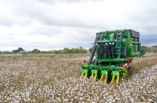 “Azərbaycan Respublikasında pambıqçılığın inkişafı ilə bağlı görülmüş işlər və qarşıda duran vəzifələr” mövzusunda müşavirə keçirilib