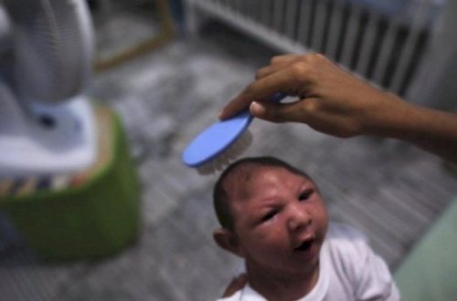 Hindistanda yeni virus - Ağcaqanadlarla yayılır