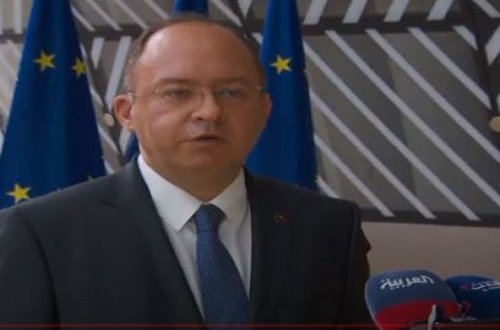 Avstriya, Litva və Rumıniya XİN başçıları Cənubi Qafqaza səfərin yekunları ilə bağlı hesabat təqdim ediblər